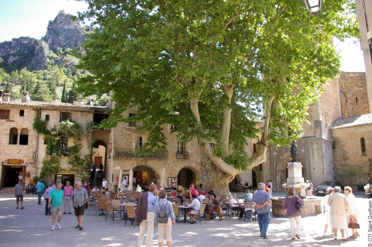 "Belle Etape"-Meuble De Tourisme 3 Etoiles -Residence "Les Logis De Beziers"-Garage Optionnel-Coeur De Ville-Plages A 16Km ! Exterior foto